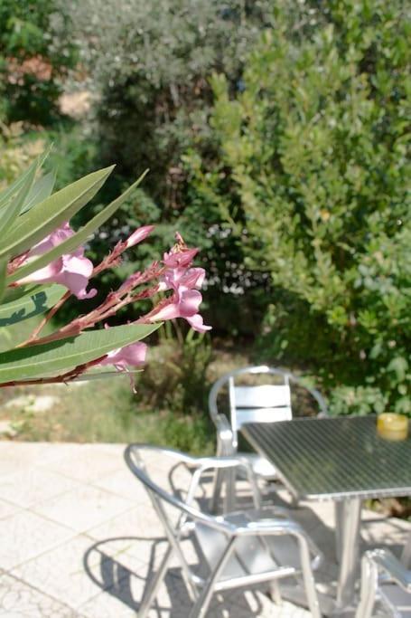 Ferienwohnung Anadora 2: Hospitable Stone House With Yard Alexandroupoli Exterior foto